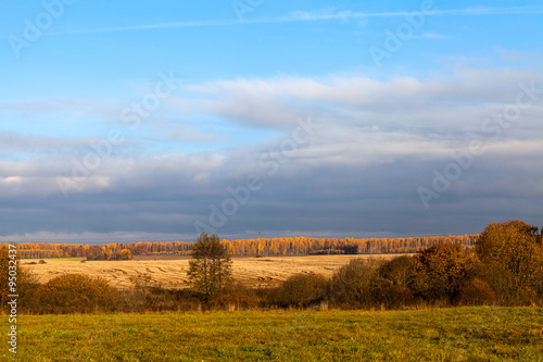 Rural beautiful landscape