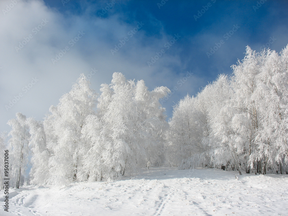Winter scenic background in Sirnea village, Romania