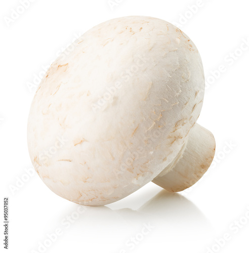 white mushroom isolated on the white background