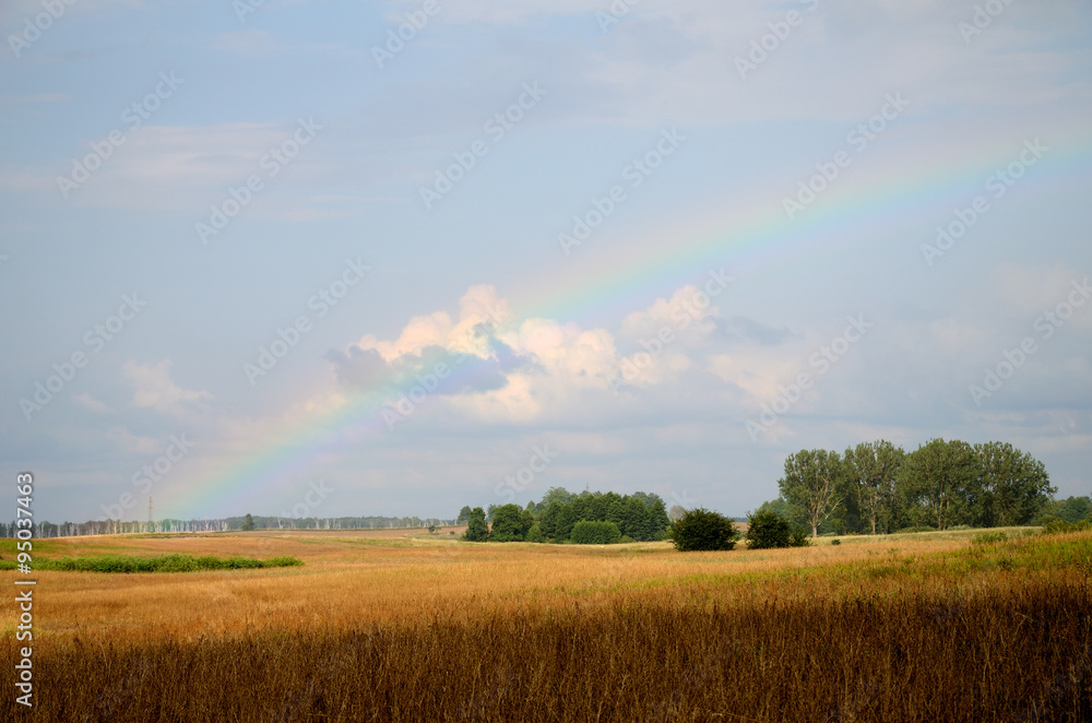Naklejka premium Rainbow over the field