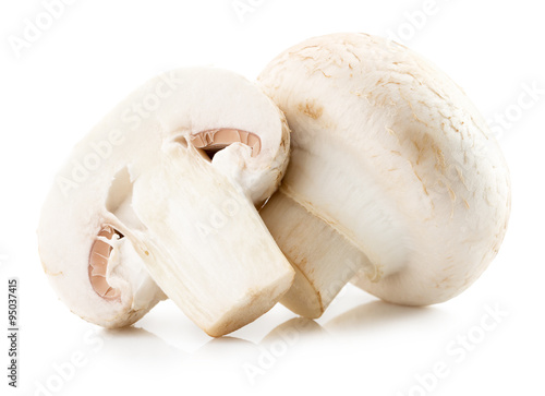 white mushrooms isolated on the white background