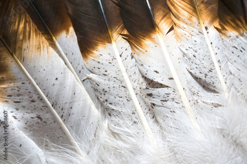 Canvas-taulu Native American Indian Feathers