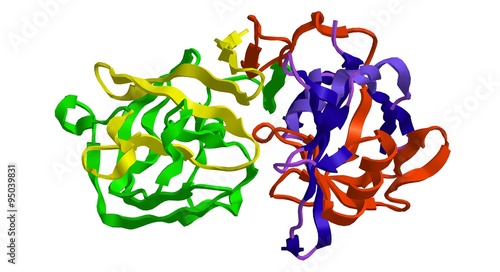 Molecular structure of enzyme pepsin photo