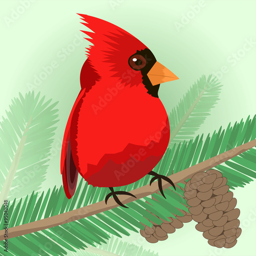 bird on branch