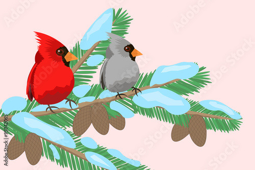 birds on a tree branch