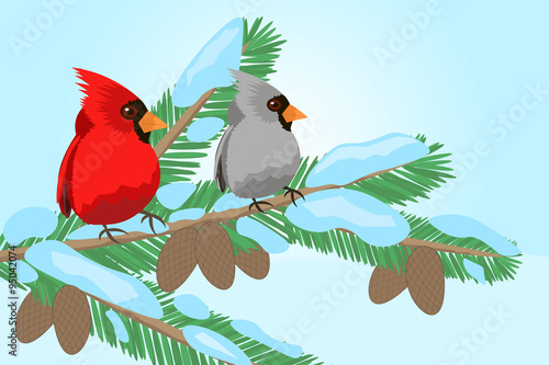 birds on a tree branch