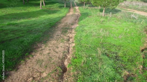 Aerial view of a road in the countryside over some trees in the early morning photo