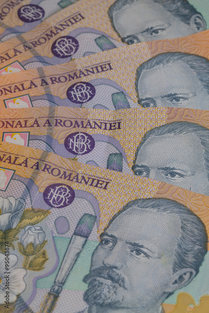 custom made wallpaper toronto digitalDifferent Romanian Lei Banknotes