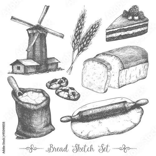Vector hand drawn bread illustration set. Vintage bakery sketch collection