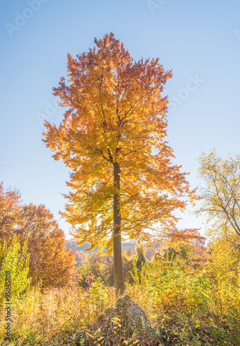 Herbststimmung, Fränkische Schweiz