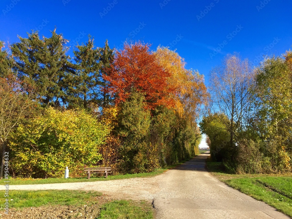Herbst in seinen schönsten Farben Herbst in seinen schönsten Farben