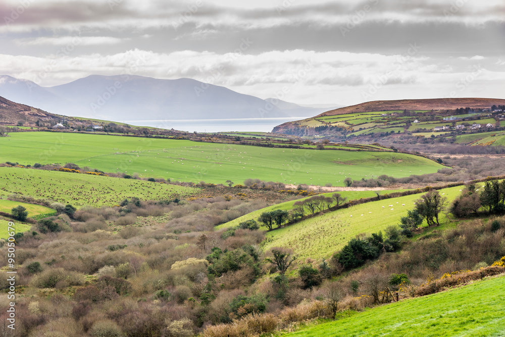 Fototapeta premium Typical Irish scenery
