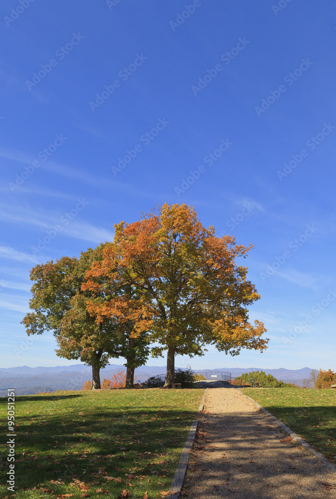 Naklejka premium Jump Off Rock w Hendersonville w Północnej Karolinie