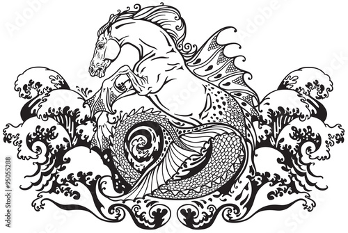 hippocampus mythological sea horse photo