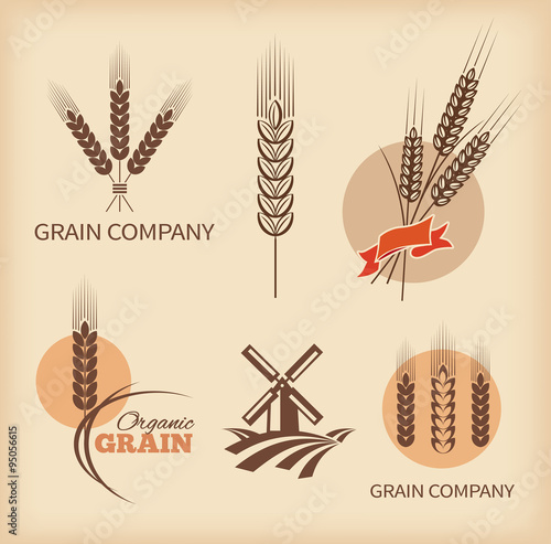 Wheat symbols and labels. Vector design elements set 2. 