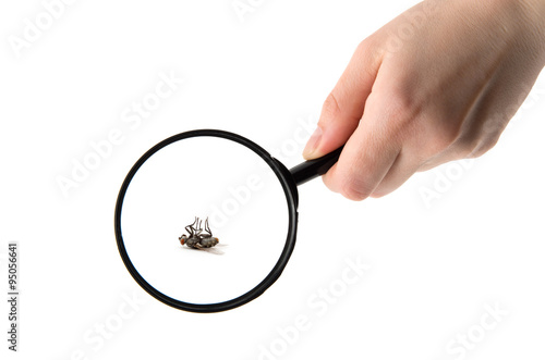 Hand holding magnifying glass isolated on white background