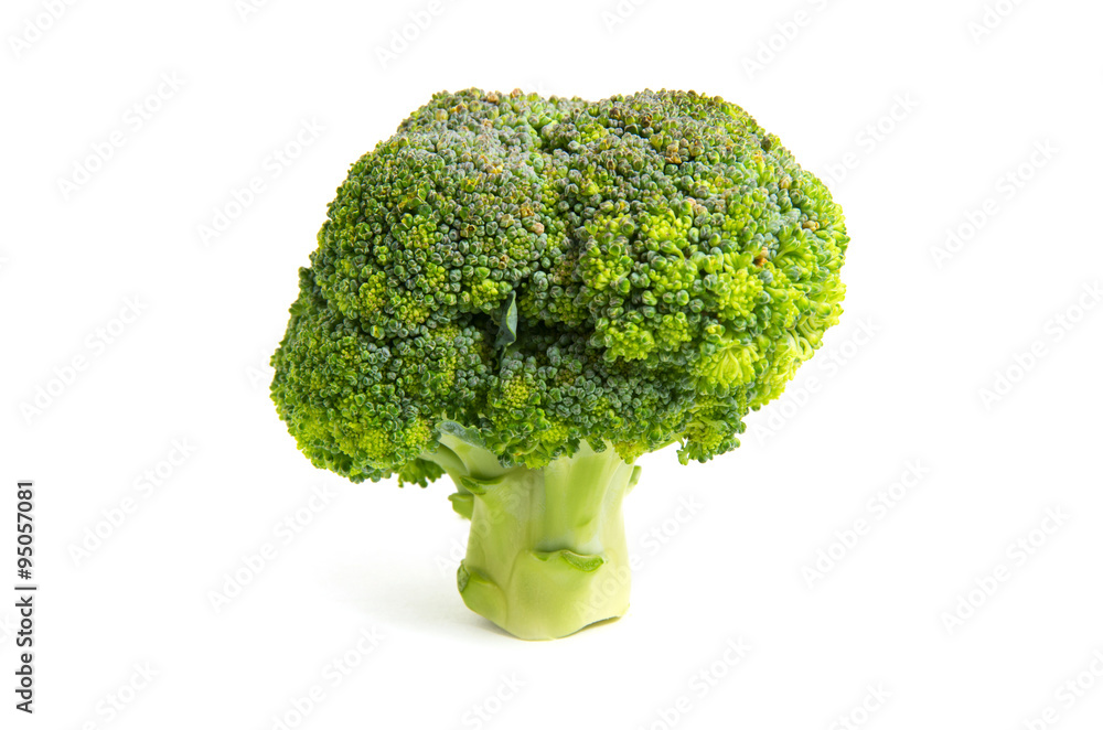 Broccoli isolated on white background Broccoli isolated on white background