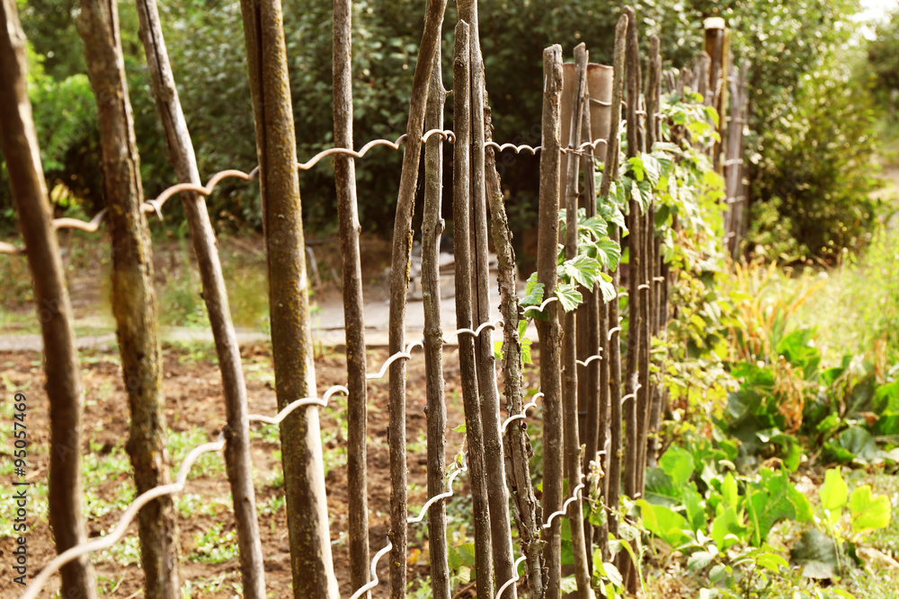 Fototapeta premium Supporting netting frame in the garden outdoors