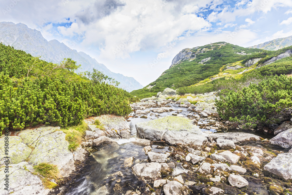 Mountain river in Tatras