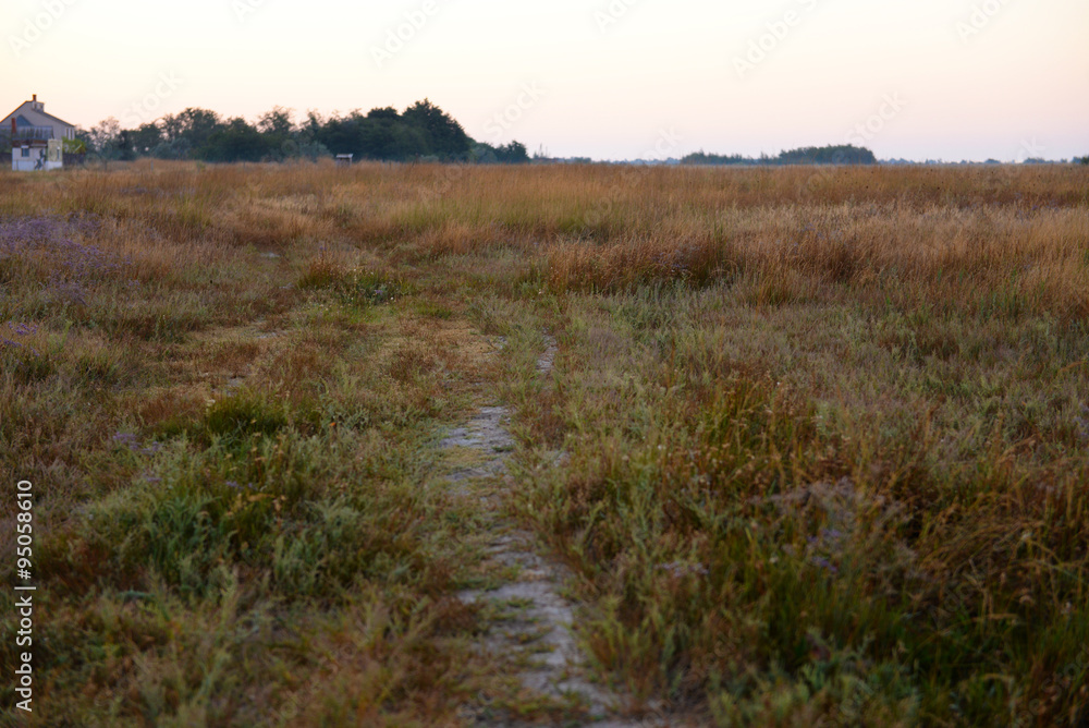 Beautiful field in evening time Beautiful field in evening time