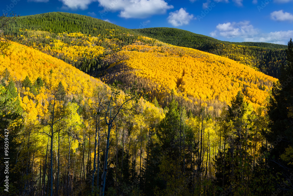 Fototapeta premium Aspen Vista Overlook