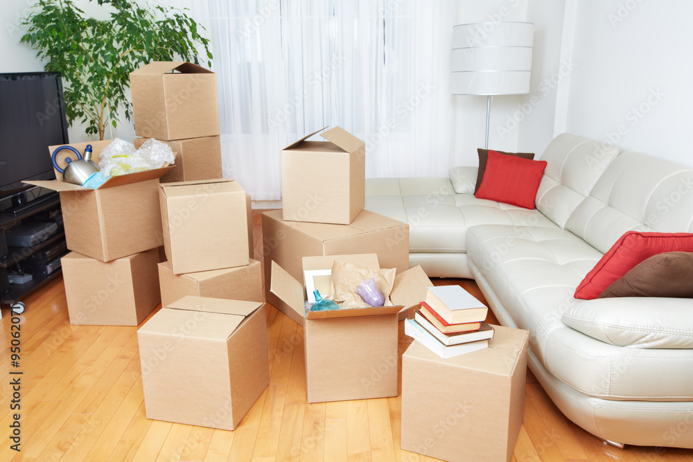 Moving boxes in new house. Moving boxes in new house.