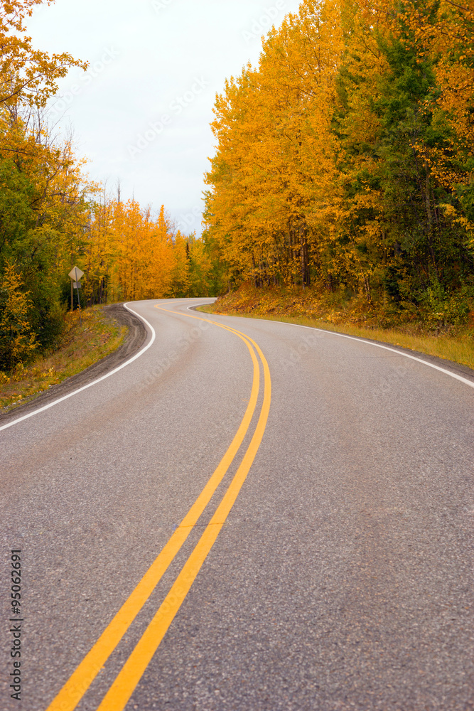 Double Yellow Lines Fall Highway Alaska Highway Transportation