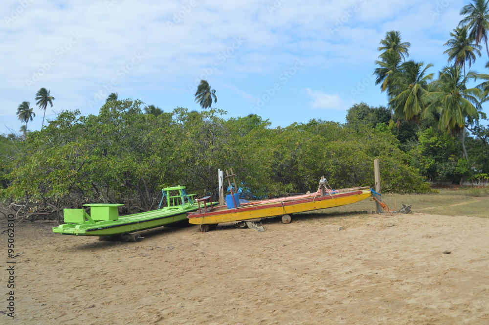 Jangadas ancoradas no mangue