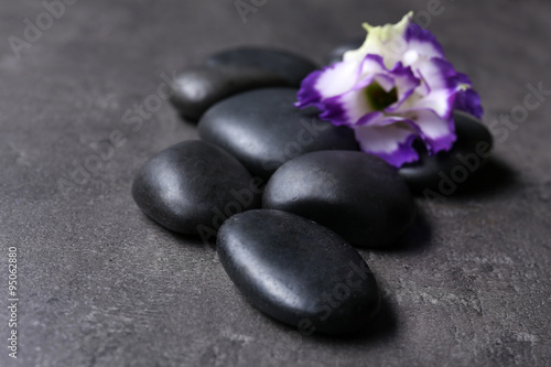 Pebbles with beautiful flower on dark grey background