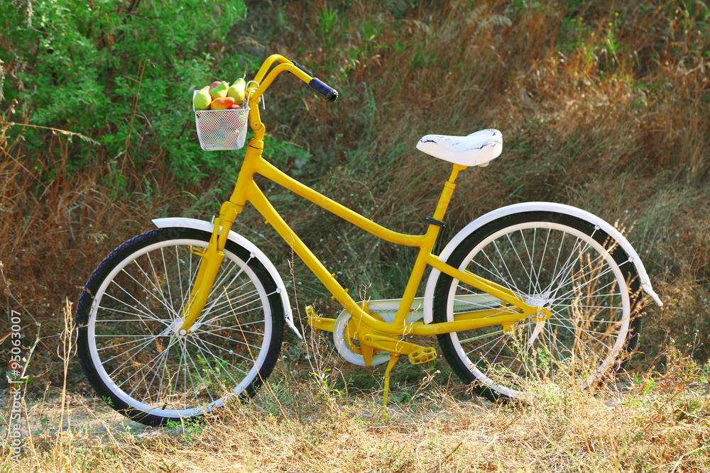 Basket of juicy fruits on bike, outdoors