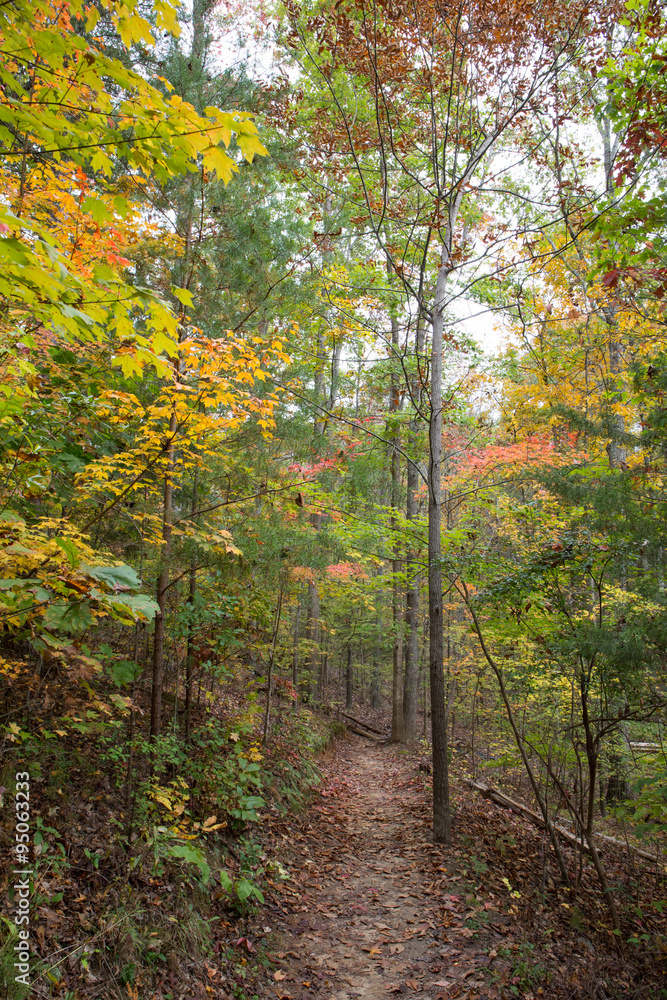 Autumn Hiking Trail Autumn Hiking Trail