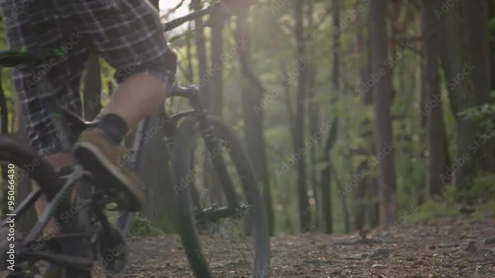 SLOW MOTION: Biker riding through forest at sunset SLOW MOTION: Biker riding through forest at sunset