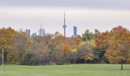 Late fall landscape at Wilket Creek Park in Toronto. Skyline  with skyscrapers and grey sky on the background.