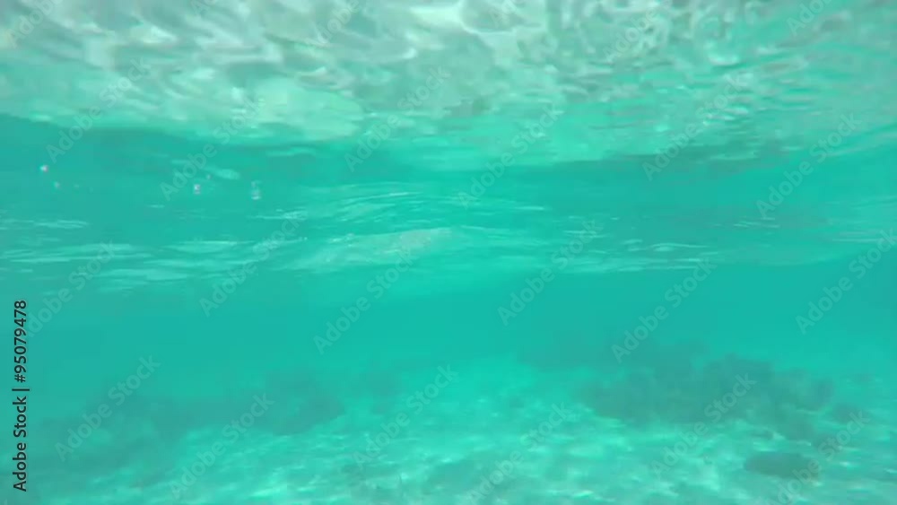 UNDERWATER: Below the ocean water surface UNDERWATER: Below the ocean water surface