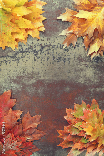 Autumn background with leaves