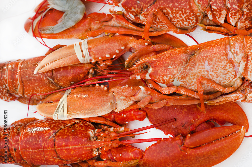 Fresh lobster on a market stall