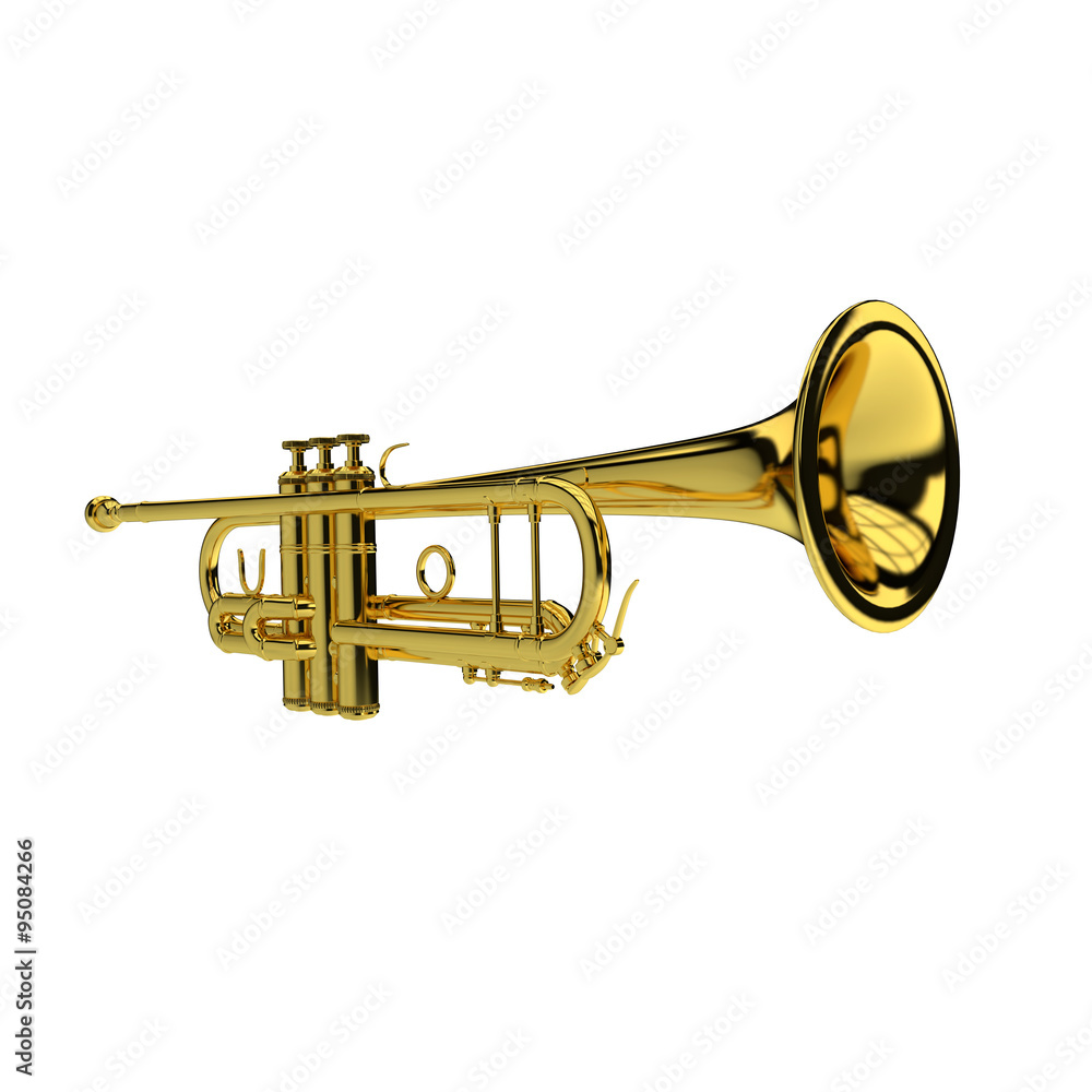 Fototapeta premium Trumpet