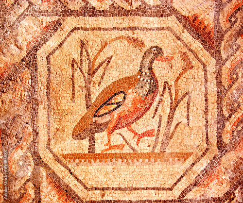 Ancient Roman mosaic of a walking duck