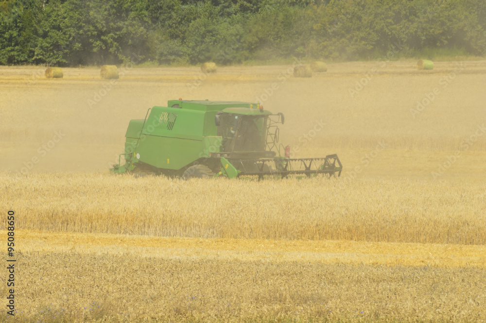 Obraz premium Combine the field