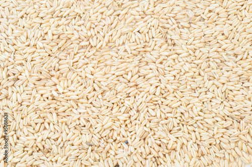 oats seeds