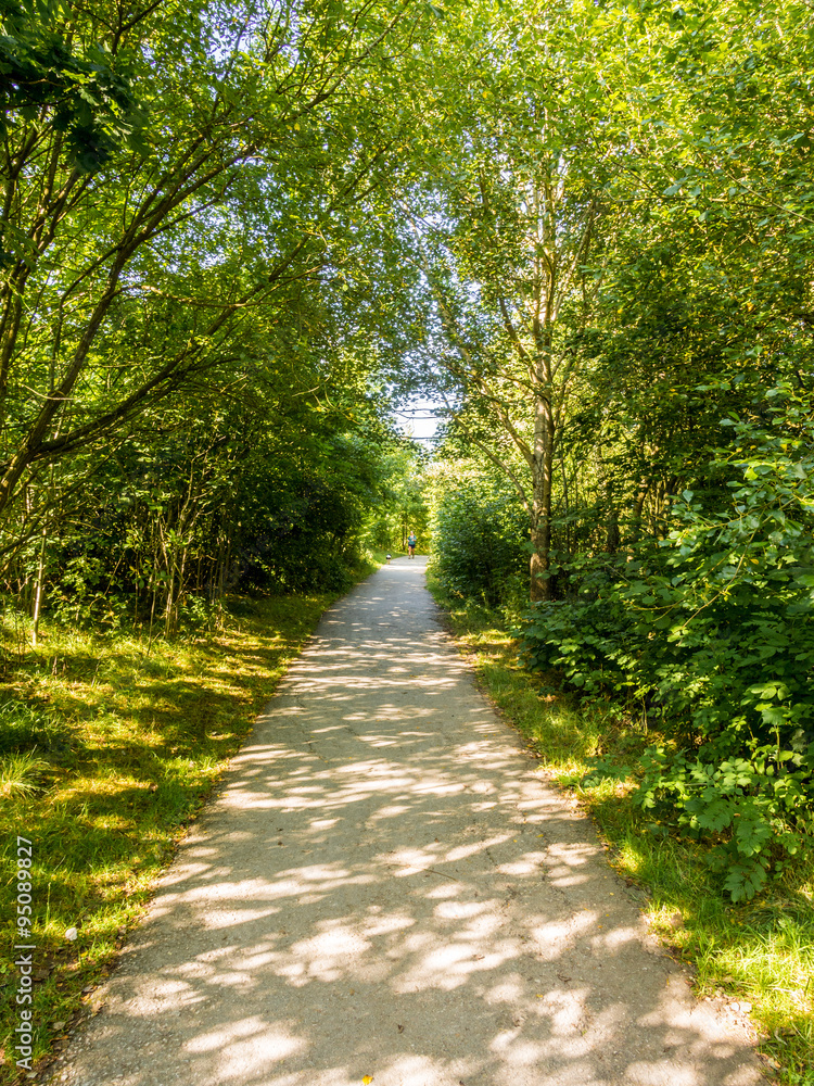 Fototapeta premium Woodland walk at Carsington Water, Peak District, Derbyshire, UK