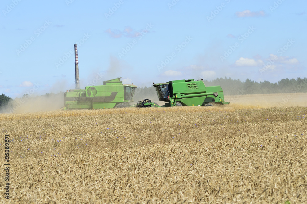 Obraz premium Combine the field