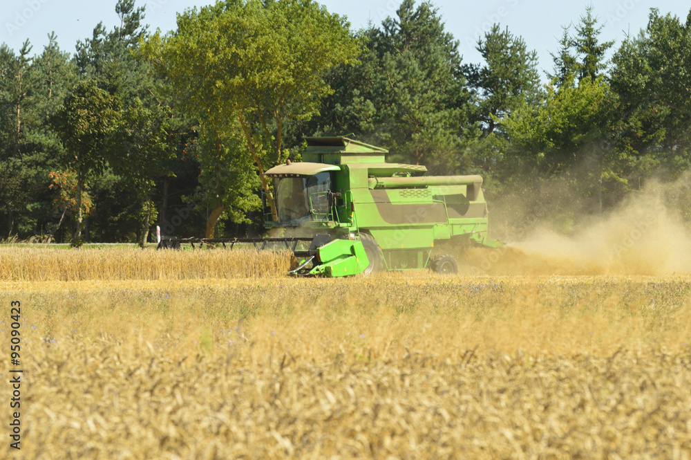 Fototapeta premium Combine the field