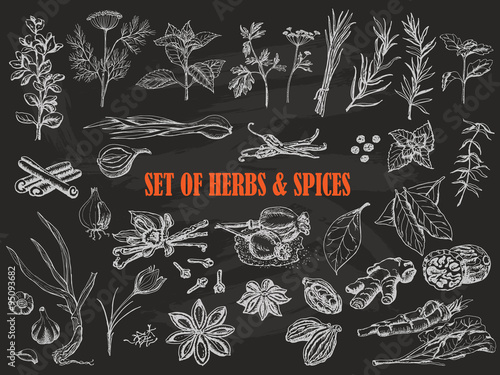 Set of Herbs and spices in sketch style on black background