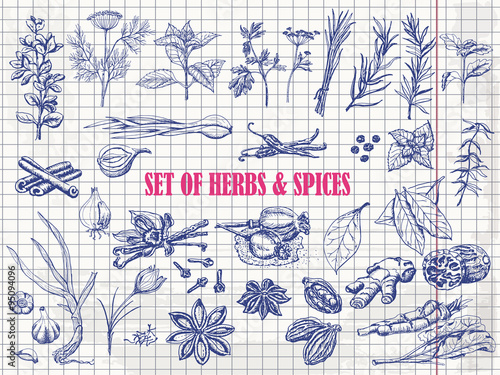 Set of Herbs and spices in sketch style on paper