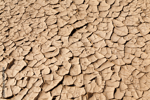 Фотография Desertification