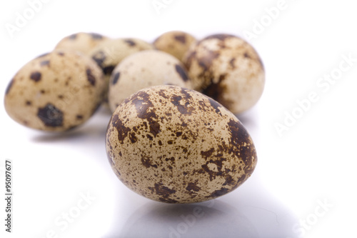 quail eggs closeup on a white background