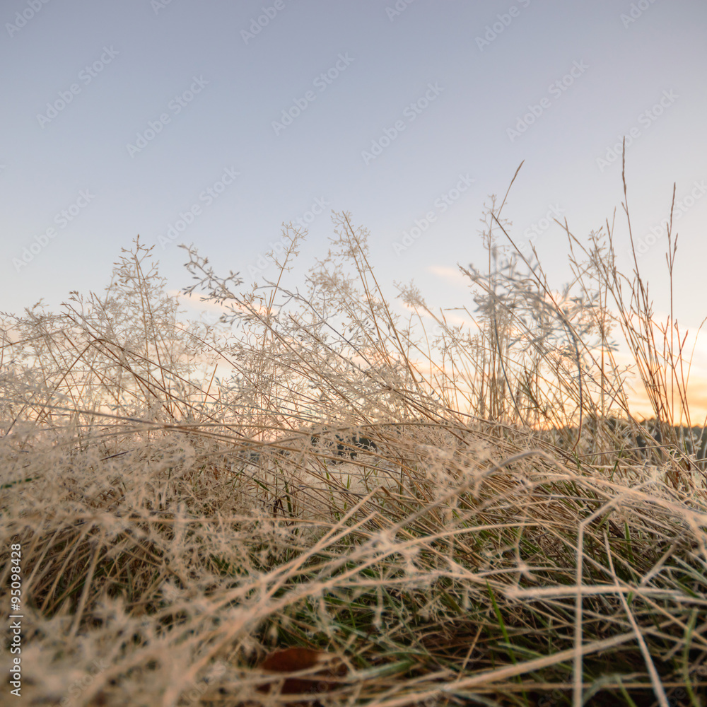 Obraz premium blue sky