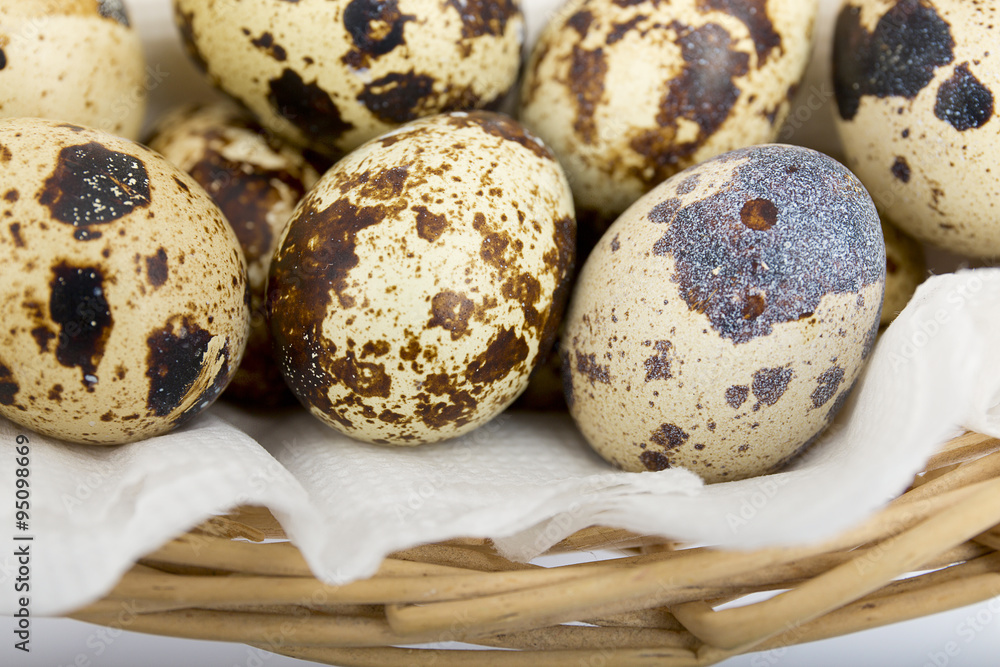 Obraz premium quail eggs close-up on a white background