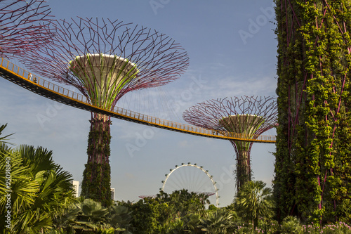 Giant trees at gardens by the bay
